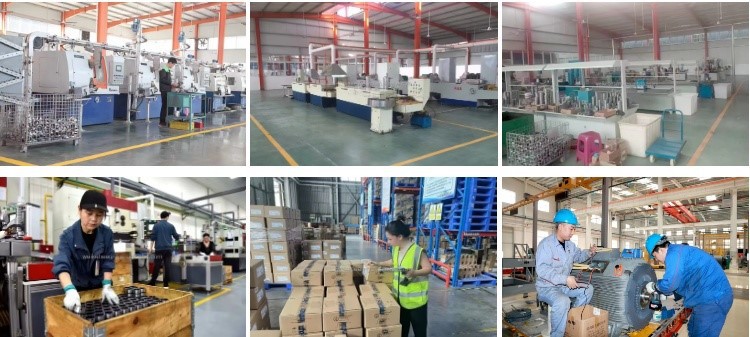 Asymmetric Spherical Roller Bearing Asymmetric Spherical Roller Bearing